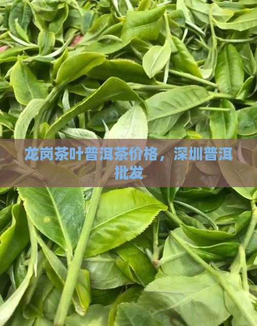 龙岗茶叶普洱茶价格