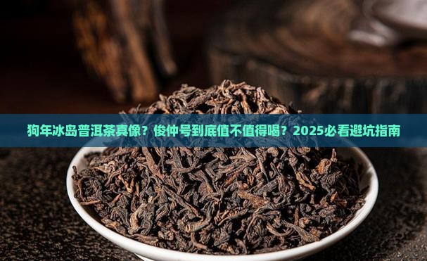 俊仲号狗年冰岛普洱茶