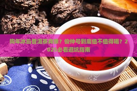 俊仲号狗年冰岛普洱茶