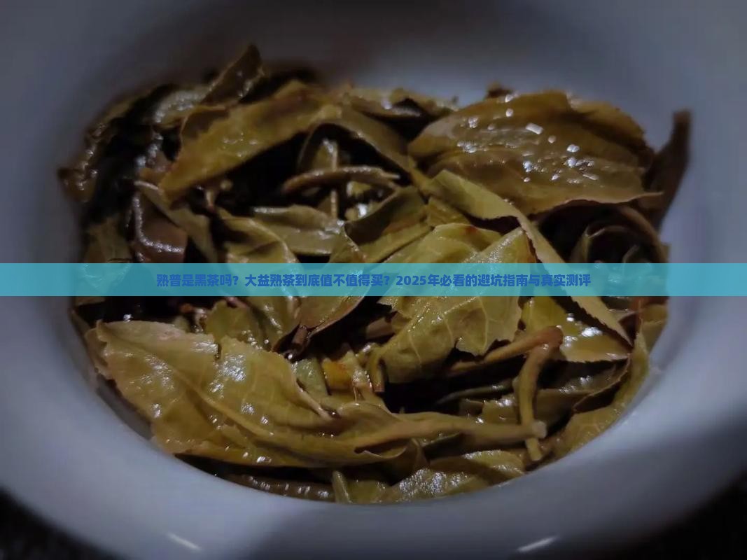 熟普是不是黑茶大益熟茶推荐