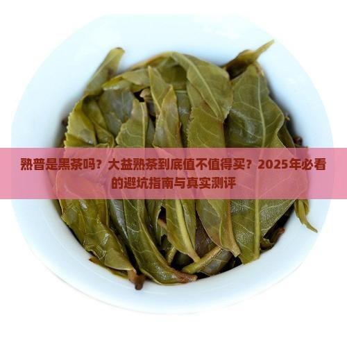 熟普是不是黑茶大益熟茶推荐