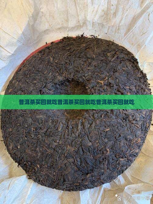普洱茶买回就吃