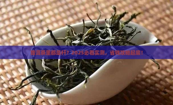 普洱茶里都是杆