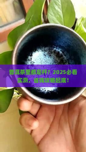 普洱茶里都是杆