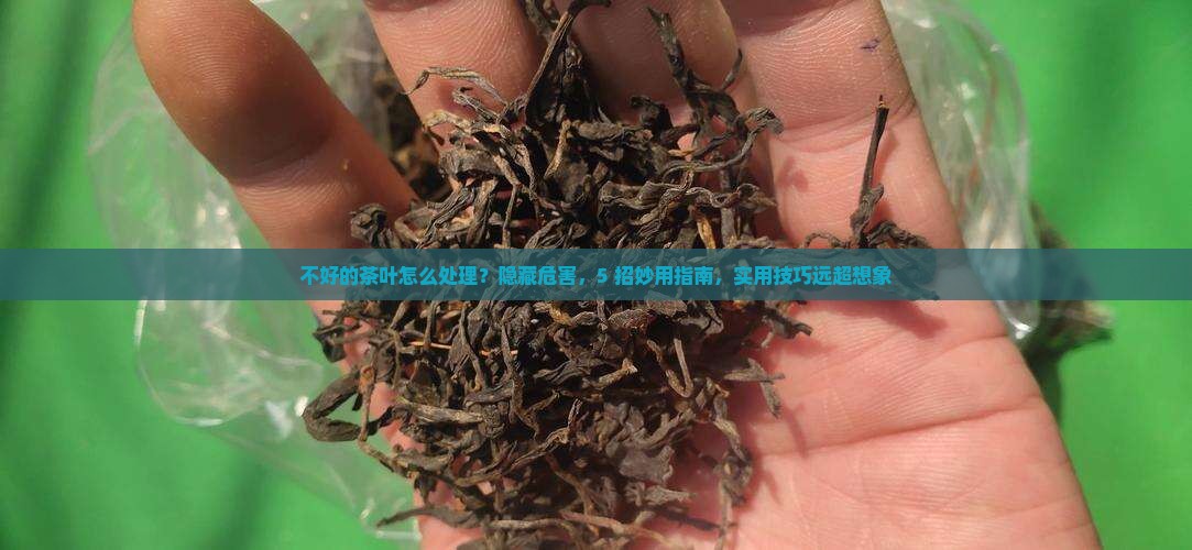 不好的茶叶怎么处理
