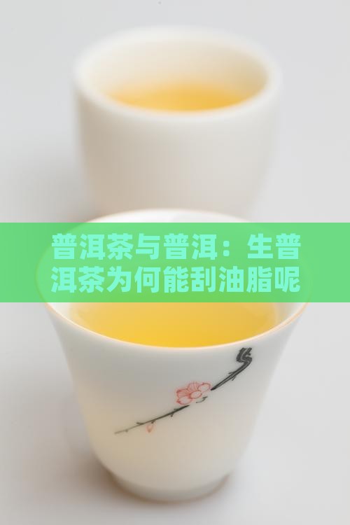 生普洱茶为何能刮油脂呢