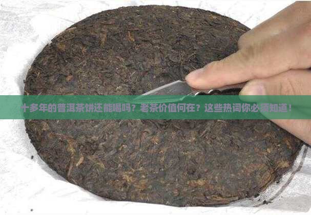 十多年的普洱茶饼还能喝吗