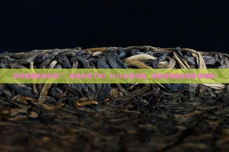 琪琪普洱茶源头茶厂