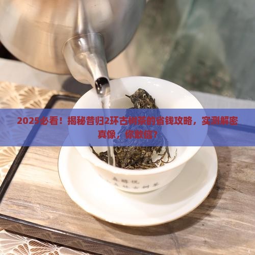 昔归2环古树茶