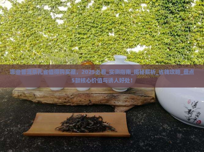哪些普洱茶孔雀值得购买藏