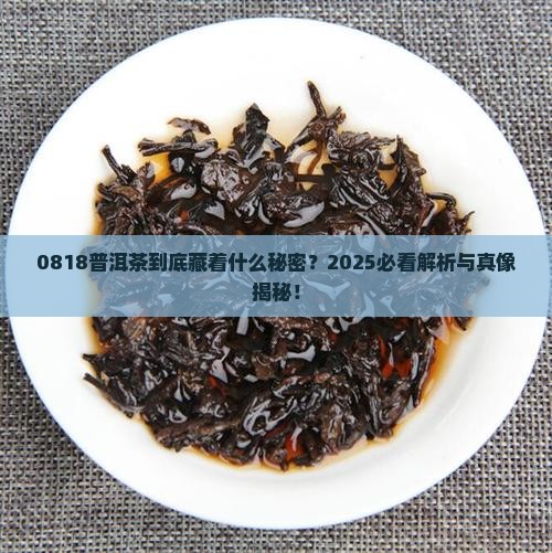 0818普洱茶代表什么