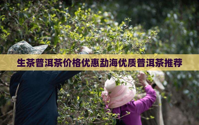 02年普洱茶生茶勐海 02年普洱茶生茶勐海