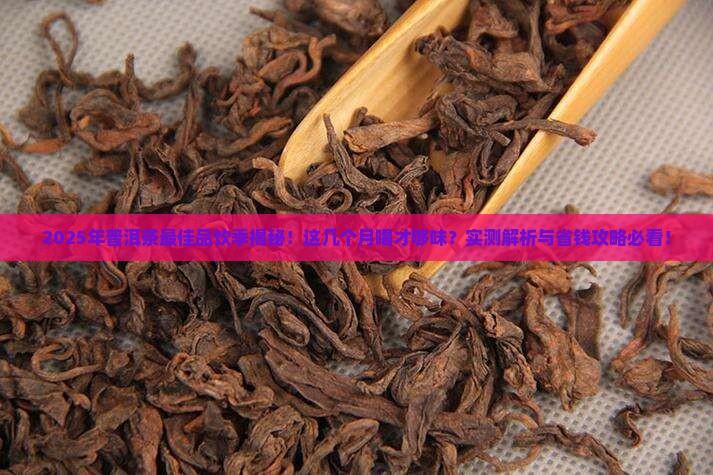 普洱茶在几月份可以喝吗