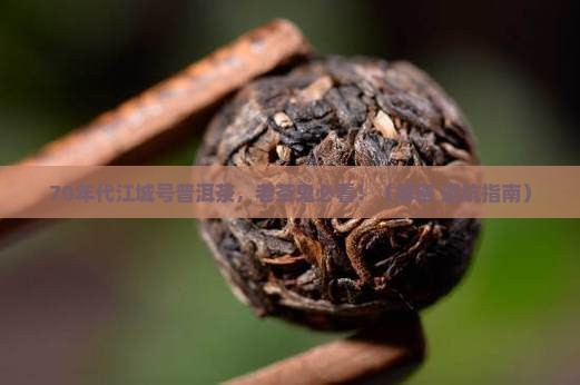 70年代江城号普洱茶