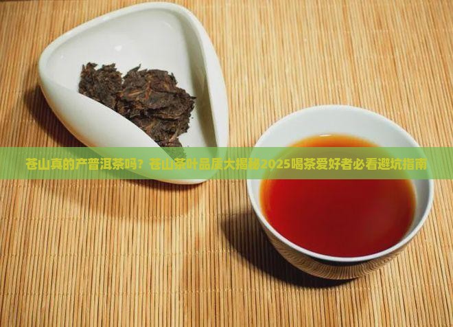 苍山产普洱茶么