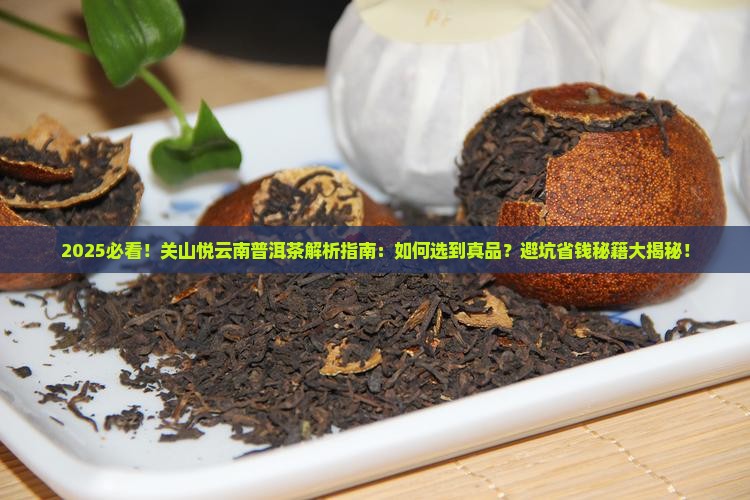 关山悦云南普洱茶