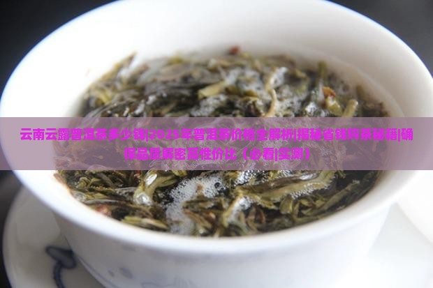 云南云露普洱茶多少钱