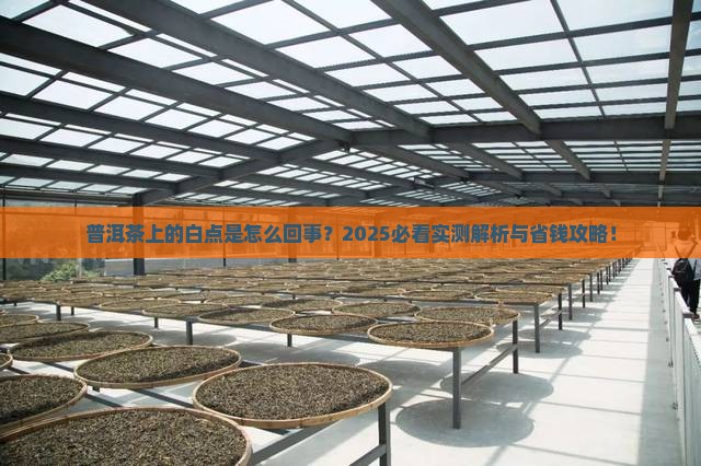 普洱茶发现有白点