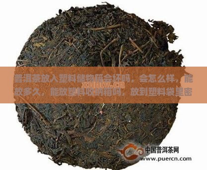 普洱茶放入塑料储物箱