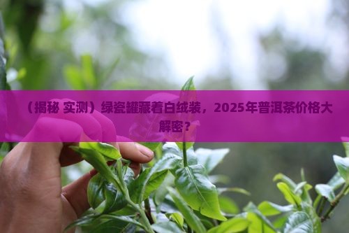 绿瓷罐白绒装普洱茶价格