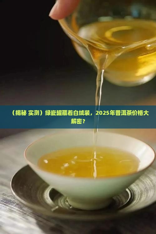 绿瓷罐白绒装普洱茶价格