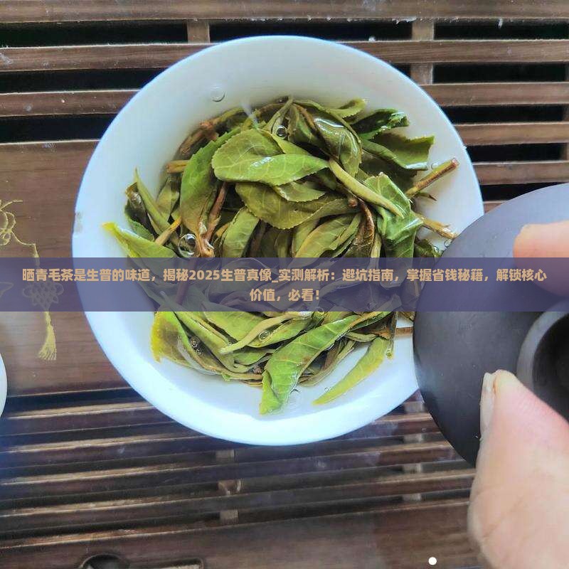 晒青毛茶是生普的味道