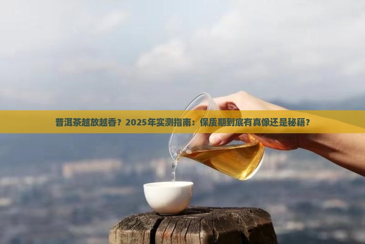 普洱茶放多久有保质期