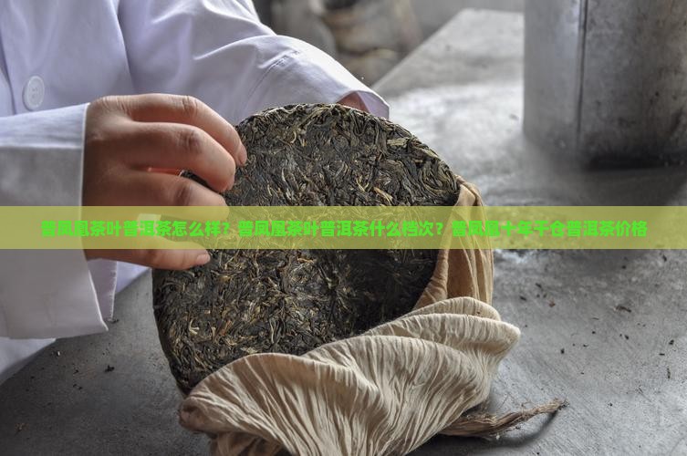 普凤凰茶叶普洱茶