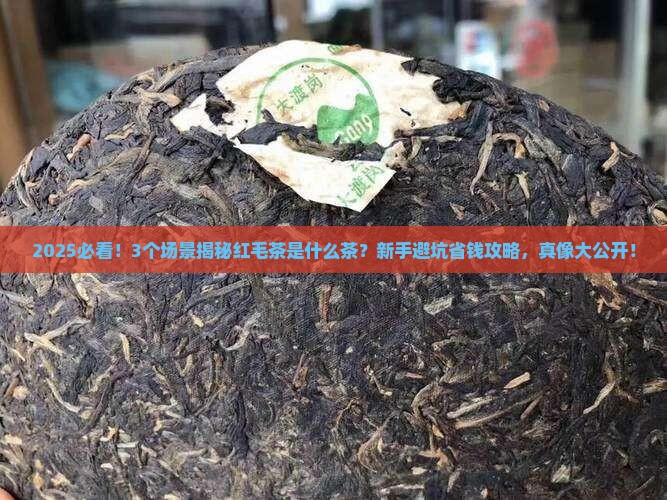 红毛茶是什么茶