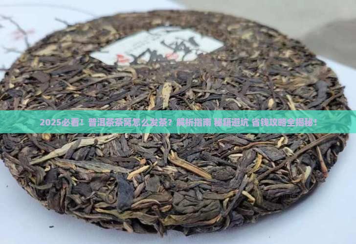 普洱茶茶窝怎么发茶
