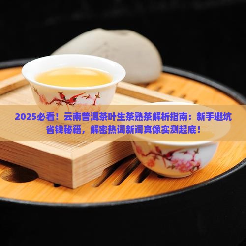云南普洱茶叶生茶熟茶