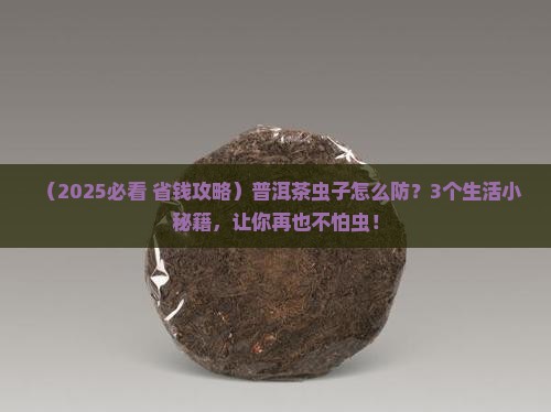 怎样防止普洱茶长虫