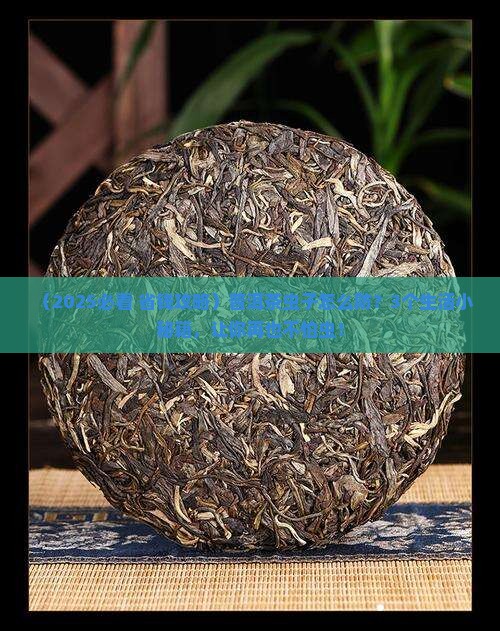 怎样防止普洱茶长虫