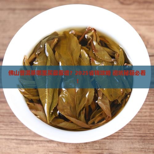 佛山靠谱的普洱茶