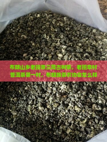 布朗山乡老班章三爬