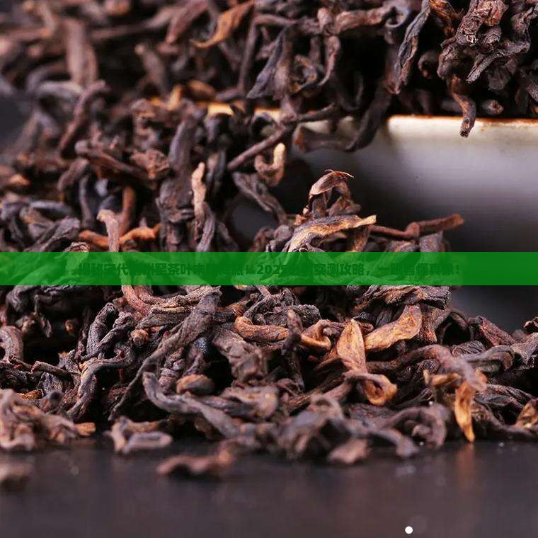 宋代耀州窑茶叶末釉梅瓶