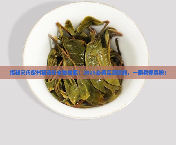 宋代耀州窑茶叶末釉梅瓶