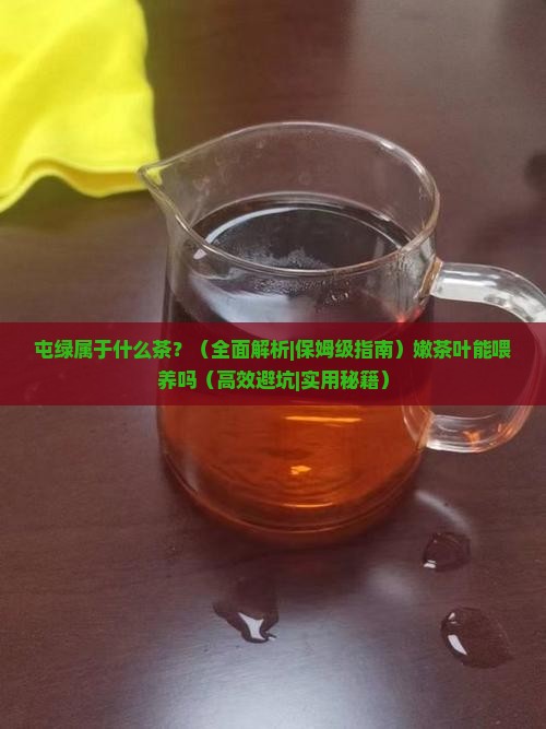 屯绿属于什么茶嫩茶叶能喂养吗