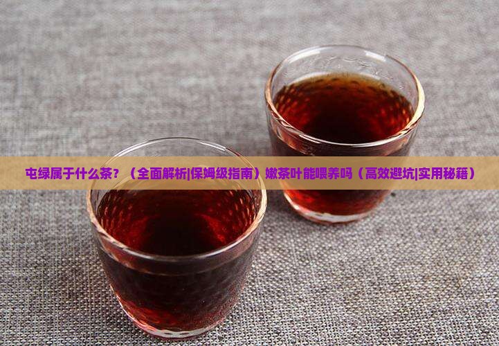 屯绿属于什么茶嫩茶叶能喂养吗