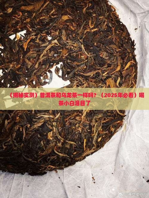 普洱茶与乌龙茶一样吗