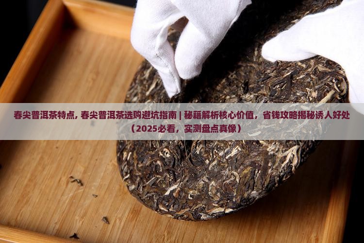 春尖普洱茶特点