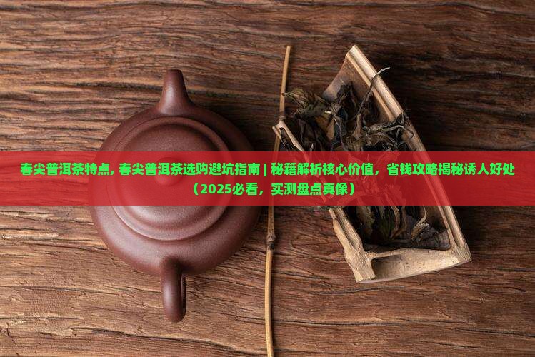 春尖普洱茶特点