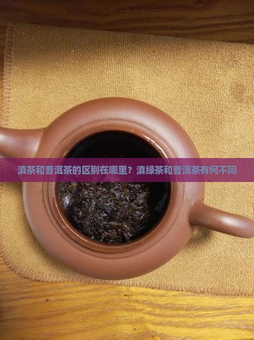 滇茶和普洱茶的区别在哪里
