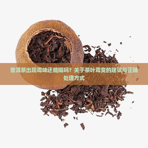 普洱茶老茶有霉味能喝吗