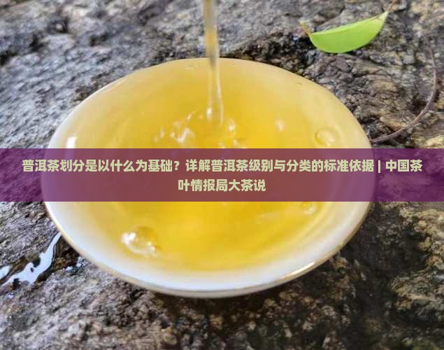 普洱茶划分以什么为基础