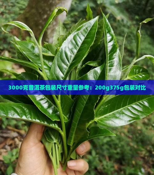 3000克普洱茶包装