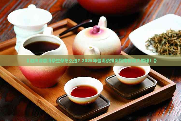 溢庆源普洱茶生茶