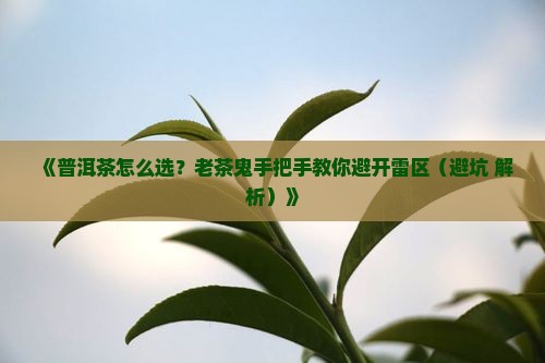 普洱茶识茶知识