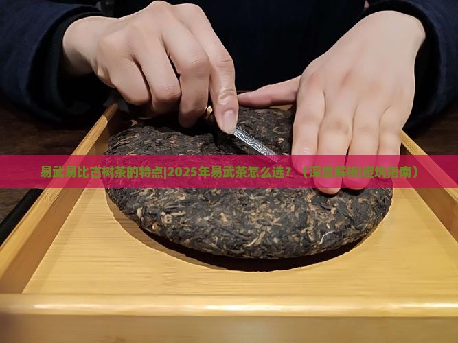 易武易比古树茶的特点