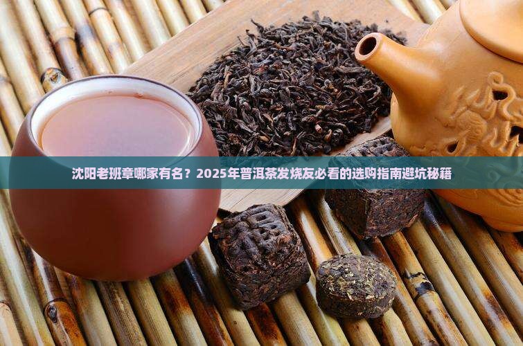 沈阳老班章哪家有名